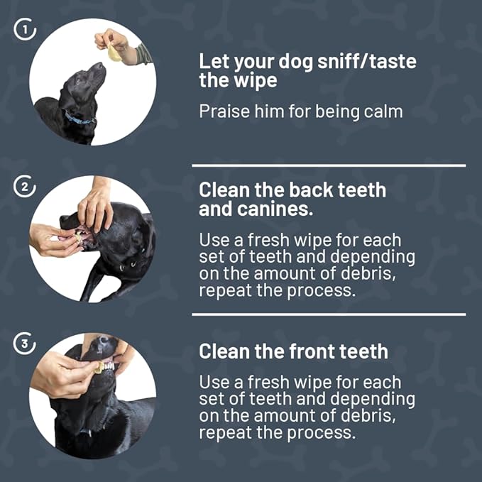 Dog Dental Wipes - Natural Dog Bad Breath Eliminator and Dental Care with Pomegranate and Sodium Bicarbonate - Made in The US - Vegan - Easy to Use Dog Teeth Wipes, Dogs Love The Taste