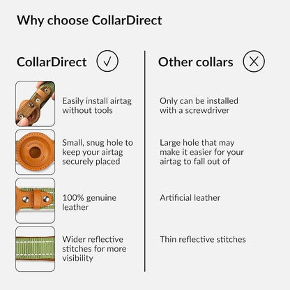 Airtag Dog Collar, CollarDirect, Reflective Dog Collar for Apple Air Tag for Large, Medium, and Small Dogs, Black, Green, Pink (L, Green)