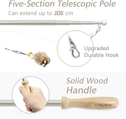 SONGWAY Cat Toys Feather Wand - Retractable Cat Wand Toy and 8 Pieces Insect Cat Feather Toys with Bell, Interactive Cat Toys for Indoor Cats Kittens