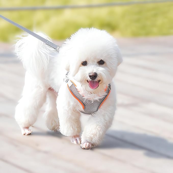 Dog Harness with Leash Set, No Pull Adjustable Reflective Step-in Puppy Harness with Thickened Padded Vest for Extra-Small/Small Medium Large Dogs and Cats (Grey, L)