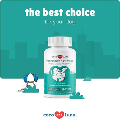 Probiotics for Dogs - 120 Chewable Tablets - Diarrhea & Gas Support - with Honey Pumpkin and Prebiotics for Dog Allergies, Bad Breath & Constipation Support