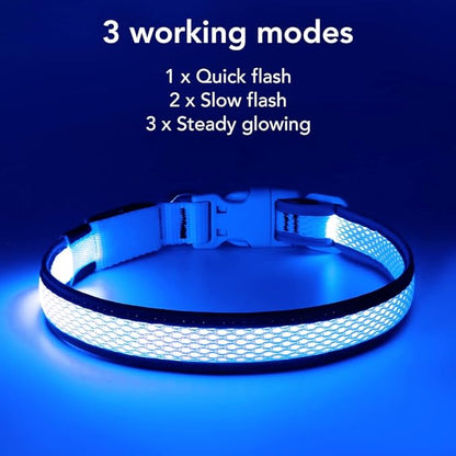 BSEEN Light Up Dog Collars - Reflective LED Dog Collar, Rechargeable Puppy Collar for Small Dogs, Glow in The Dark Dog Camping Gear, Flashing Dog Lights for Night Walking (Small, Blue)