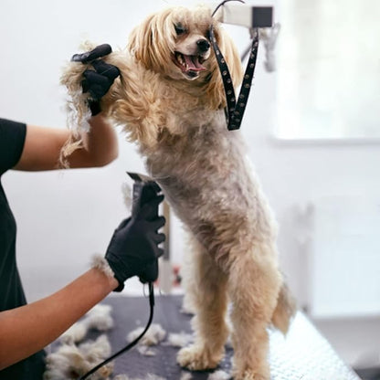 5FC Blade Dog Grooming Clipper Replacement Blades Compatible with Andis Dog Clippers,Detachable Ceramic Blade & Stainless Steel Blade,Size-5 FC 1/4-Inch Cut Length (64122)