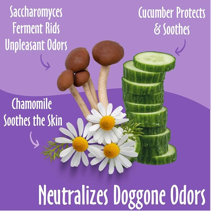 earthbath, Rosemary & Chamomile Tushy Wipes - Dog Wipes for Paws and Butt, Pet Wipes for Dogs & Cats, Made in USA, Cruelty-Free Dog Cleaning Wipes, Helps Neutralize Odors - 30 Count (1 Pack)