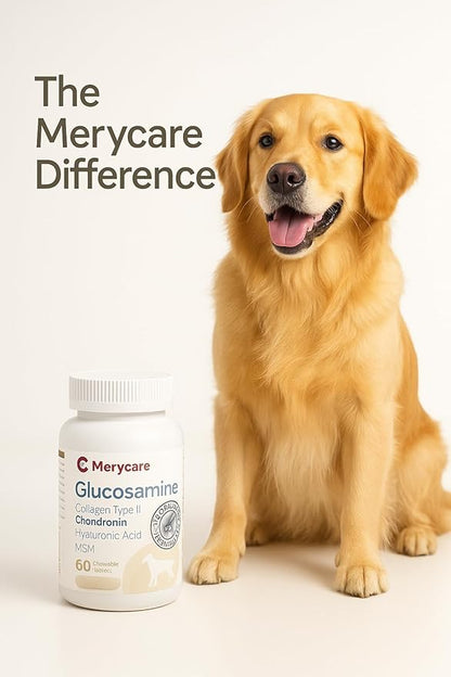 Glucosamine for Dogs  Hip & Joint Support Chewable Tablets with Collagen Type II, Chondroitin, MSM & Hyaluronic Acid  Veterinarian-Formulated  60 Count