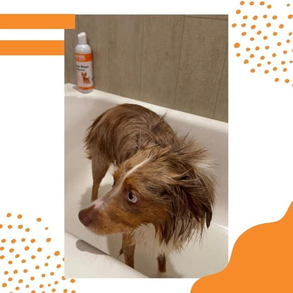 Dog Natural Cream Rinse Conditioner, Coconut Papaya Moisturizing, 17oz