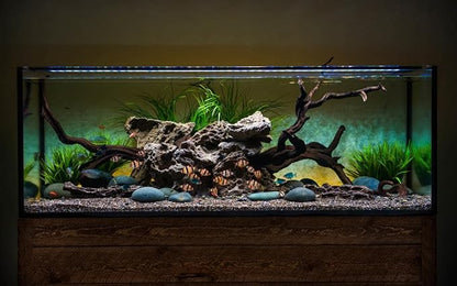 CURRENT USA 36-48" Satellite Color RGBW Full-Spectrum LED Aquarium Light - Freshwater, Wireless 24-Hour Timer, Adjustable Tank Mounts (4512)