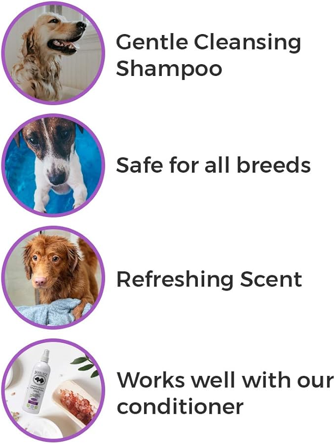 Calming Shampoo, Lavender, 16 fl oz | No Parabens, No Phthalates, No Sulfates, No DEA & PEG, Plant-Based