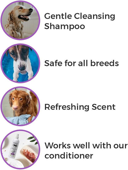 Calming Shampoo, Lavender, 16 fl oz | No Parabens, No Phthalates, No Sulfates, No DEA & PEG, Plant-Based