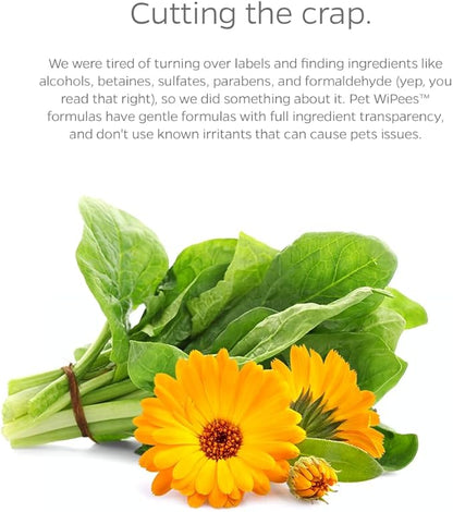 Pet Parents® Pet WiPees Dog All Purpose + Skin & Coat Pet Wipes, Pet Wipes for Dogs, Dog Wipes & Puppy Wipes, Paw Wipes for Dogs (100 Count (Pack of 1), Calming)