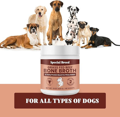 19oz Bone Broth Powder for Dogs and Cats - 192 Scoops - Dog and Cat Food Topper, Grass Fed Beef Broth Supplement