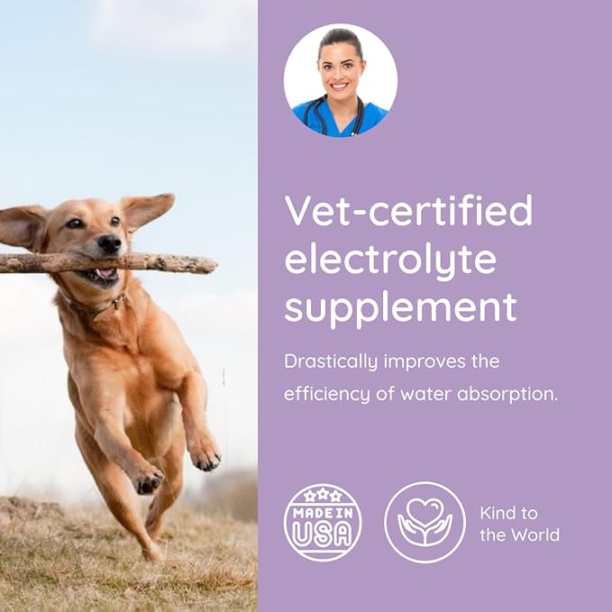 Dog Electrolytes and Joint Supplement | Glucosamine, Chondroitin & MSM for Inflammation and Mobility Support | Electrolytes for Dogs with Prebiotics | Unflavored | 16 Packets