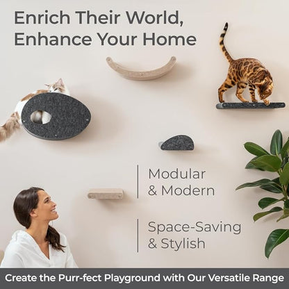 Wall Mounted Cat Shelves (Set of 4) by Pryde Pets - 100% Sustainable PET Felt Feline Enrichment Climber Furniture for Small & Large Indoor Cats, Modern Climbing Gym Jungle Design (Oatmeal)