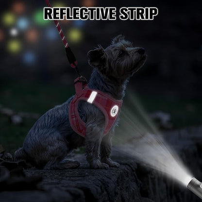 BEAUTYZOO Small Dog Harness and Leash Set, Step in No Chock No Pull Soft Mesh Dog Harnesses Reflective for Small Medium Puppy Dogs and Cats, Plaid Dog Vest Harness for S M Pets, Light Pink XS