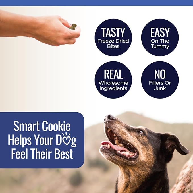 Smart Cookie Freeze Dried Beef Liver Bites - Single Ingredient Freeze Dried Beef Liver Dog Treats for Low Calorie Training Treats for Dogs or Dog Food Topper - Made in USA - 2oz Bag, 3 Pack