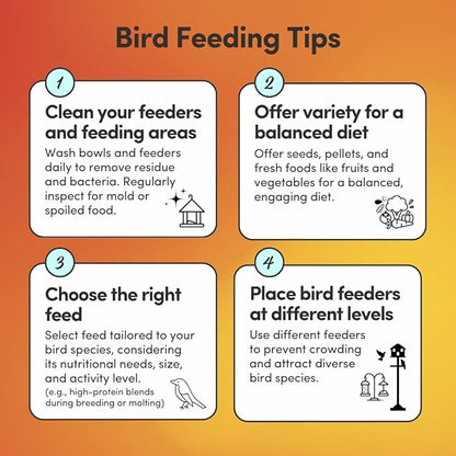 Mycelium Organic Large Parrot Plus Bird Food (5 LBS) | Premium Bird Seed for Macaws, Cockatoos & Parrots | High-Protein, Vitamin-Fortified, Skin & Feather Support | Non-GMO, USA Made, No Fillers