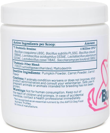 Buddy Biotics Probiotic + Prebiotic for Dogs- Gut Flora Health, Digestive and Immune Health, Diarrhea and Bowel Support – 5 Billion CFU per Scoop