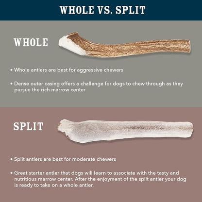 Amazon Brand – Wag Split Elk Antler, Naturally Shed, X-Large (Best for Dogs Over 45 lbs) (Pack of 4)