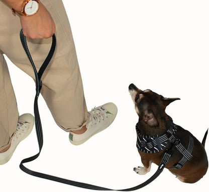 Dog Harness and Leash Set, No Pull Adjustable Soft Padded Vest, No Choke (Small, White Stripe)