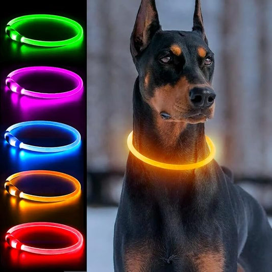 Light Up Dog Collars, Single-Color USB Rechargeable Dlitk LED Dog Collar 1 Count, TPU Cuttable Size Glow Collar for Dogs, Dog Collar Light, Please Do Not Use Fast Charging (Orange)
