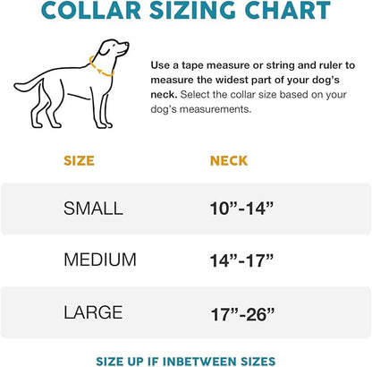 Embark Urban Dog Collar  Dog Collar Stylish & Durable Nylon Dog Collar for Large Dogs, Small Dogs & Medium Dogs.Comfortable Pet Collar Strong Buckles for Any Size Breed (Azure, Medium)