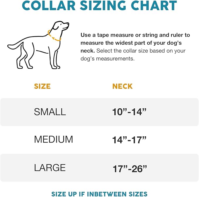 Embark Urban Dog Collar  Dog Collar Stylish & Durable Nylon Dog Collar for Large Dogs, Small Dogs & Medium Dogs.Comfortable Pet Collar Strong Buckles for Any Size Breed (Aztec, Small)