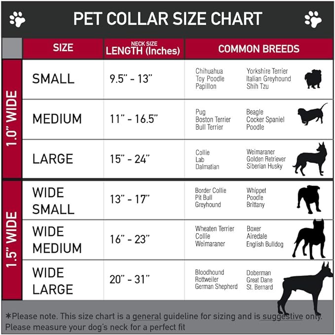 Cartoon Network Easy Adjustable Metal Seatbelt Buckle Quick Release Dog Collar, Adventure Time Marcelines Axe Bass Guitar Scattered Gray, 15 to 24 Inches 1.0 Inch Wide