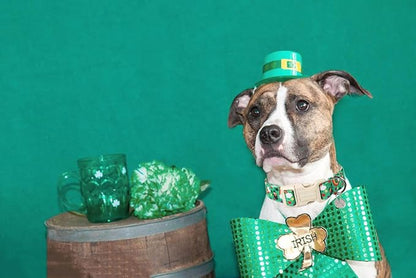 DOGWONG St. Patrick's Day Dog Collar, Lucky Clover Shamrock Green Dog Collar Soft Durable Adjustable Costume Bright Lucky Charm Puppy Collar for Small Medium Large Dog