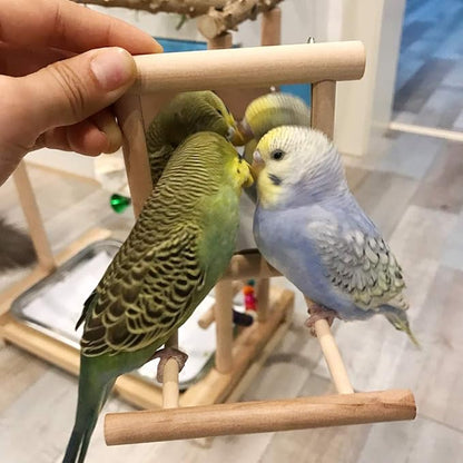 HANZE Bird Mirror Swing with Rattan Ball | Natural Wood Parrot Toy with Metal Hooks for Macaws, Cockatiels, Parakeets, Lovebirds | Safe Chewing & Mental Stimulation - 2 Pack