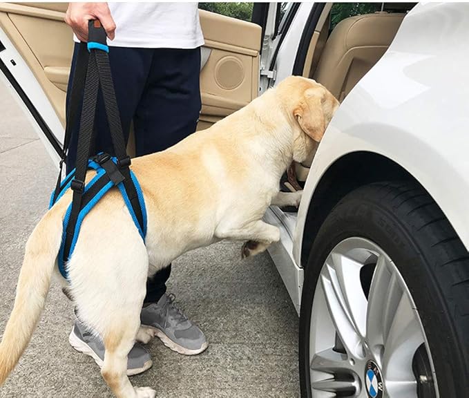 Adjustable Pet Dogs Lift Support Harness Breathable Mesh Padded Sling Straps Canine Support Rehabilitation for Injuries Arthritis Weak hind Legs & Joints, Blue (S)