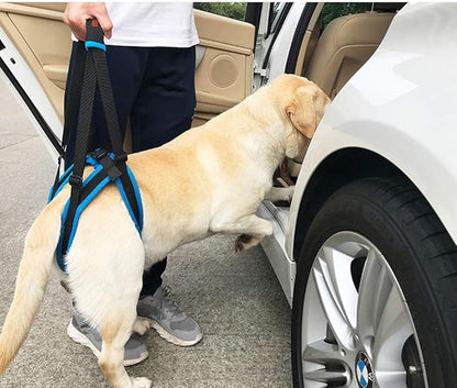 Adjustable Pet Dogs Lift Support Harness Breathable Mesh Padded Sling Straps Canine Support Rehabilitation for Injuries Arthritis Weak hind Legs & Joints, Blue (S)