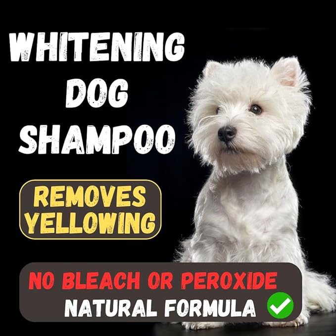 3 Bars - Whitening Dog Shampoo Bar with Charcoal – White Dog Shampoo with Natural Ingredients for Sensitive Skin