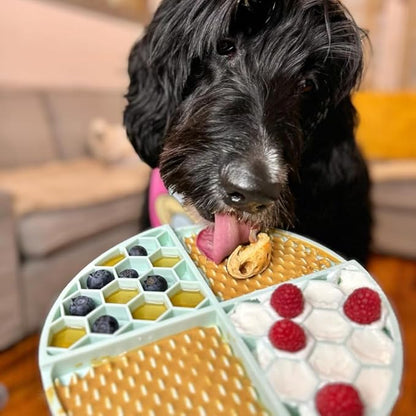 BUDDY BUDDER Gimme S'Mores, 100% Natural Dog Peanut Butter, Healthy Peanut Butter Dog Treats, Stuff in Toy, Dog Pill Pocket, Made in USA, (17 oz Jars)