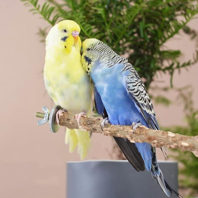 6 PCS Natural Wood Bird Perch Parrot Stand Fork Toys, Hanging Multi-Branch Perch Bird Cage Accessories for Small Parakeets, Conures, Cockatiels, Budgies, Finches, 3 Types