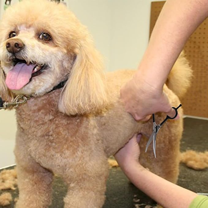 Dream Reach 7" Downward Curved Dog Grooming Scissors for Trimming Face and Paws, Safety Cutting Shears for Pet Dogs and Cats, Professional Pet Grooming Scissors Black