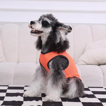 2 Pack Cooling Shirts for Dogs, Lightweight Mesh Breathable Dog Clothes for Large Breed Dogs Boy Girl,Sun-Protection Sleeveless Shirts for Dog&Cat Puppy Vest Pet Apparel - XXXL