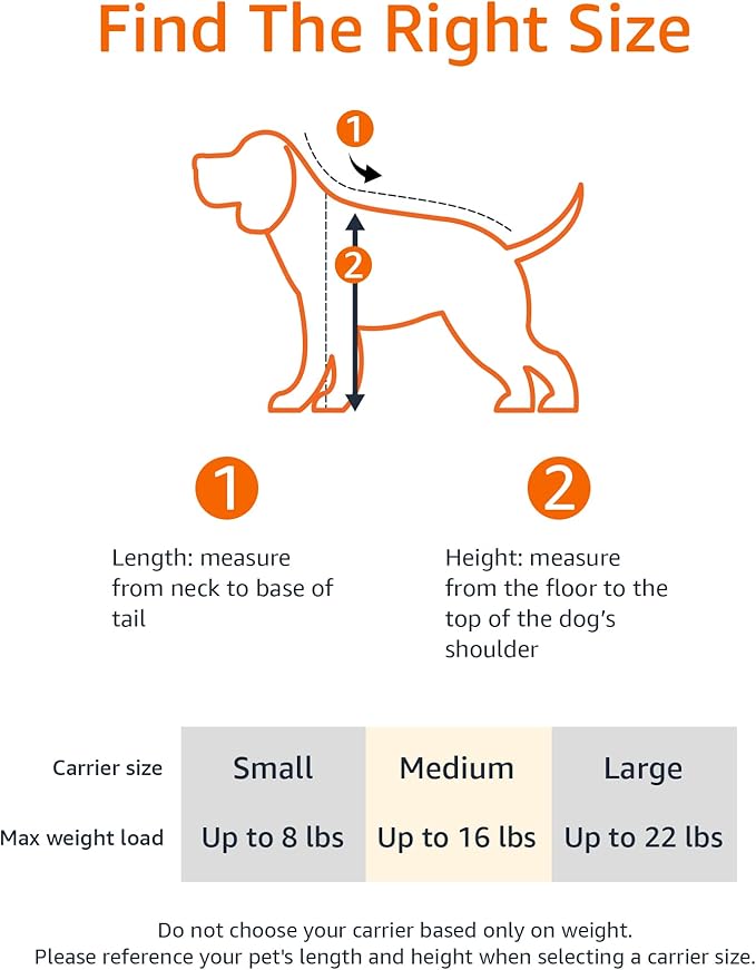 Amazon Basics Soft-Sided Mesh Pet Travel Carrier for Dog, Cat, Medium, 16.5" L x 9.4" W x 9.8" H, Black