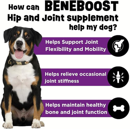 Dinovite BeneBoost Hip & Joint Liquid Topper for Dogs, Dog Joint Supplement with Glucosamine, Chondroitin, MSM & Hyaluronic Acid, Dog Mobility Support, Bacon Flavor, 6 fl oz