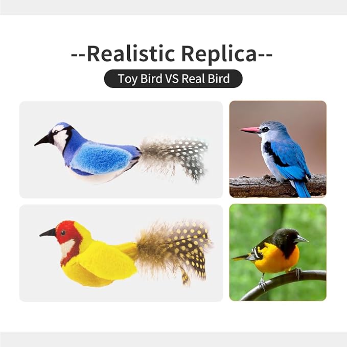 Catnip Cat Toys Boredom Relieve Teeth and Kicking Feather Cat Toys Interactive with Lifelike Chirp Sound Chirping Bird Kitten Toy Real Feather (2 Pack Bird)