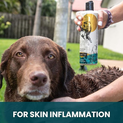 Holistic, Natural and Clean Pet Care Lemongrass Shampoo: Veterinarian Recommended - Hydrate Your Pet_ Coat With Our Hypoallergenic Shampoo For Dogs, Cats and Horses - Made in USA - 16 oz