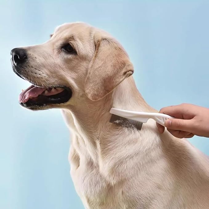 4 in 1 Pet Grooming Kit Dematting tool Stainless Steel Comb Deshedding Brush for Dog and Cat With Long Hair