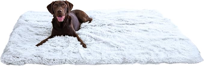 Best Friends by Sheri Calming Shag Dog Blanket with Non-Skid, Water Resistant Base, Frost Gray, 60" x 80"