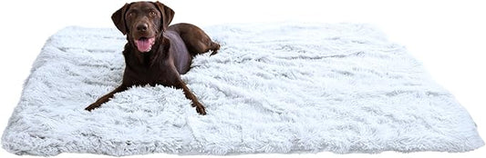 Best Friends by Sheri Calming Shag Dog Blanket with Non-Skid, Water Resistant Base, Frost Gray, 60" x 80"
