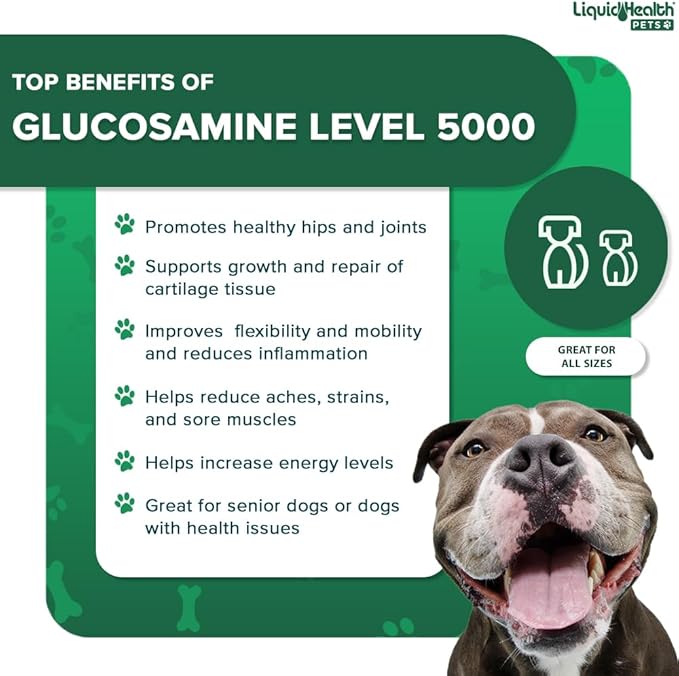 LIQUIDHEALTH Pets K9 Liquid Glucosamine Level 5000 for Large Dogs with Chondroitin, MSM, Boswellia Serrata - Dog Hip & Joint Health Vitamins for Dog Joint Pain, Pet Joint Oil Juice - USA Made (32 oz)