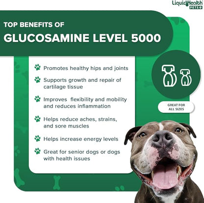 LIQUIDHEALTH Pets K9 Liquid Glucosamine Level 5000 for Large Breeds with Chondroitin, MSM - Pet Joint Health Supplements, Dog Vitamins Hip Joint Juice, Dog Joint Oil - Made in The USA (1 Gallon)