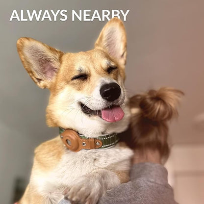 Airtag Dog Collar, CollarDirect, Reflective Dog Collar for Apple Air Tag for Large, Medium, and Small Dogs, Black, Size L