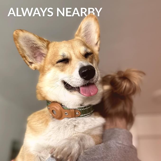 Airtag Dog Collar, CollarDirect, Reflective Dog Collar for Apple Air Tag for Large, Medium, and Small Dogs, Green, XL