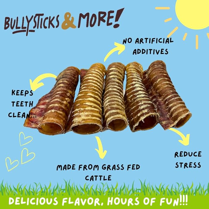 BULLYSTICKS & MORE 6 Inch Beef Trachea (6 Inch - 6 Pack) | Beef Trachea for Dogs | 100% Grass Fed Beef | Dog Parents Choice Beef Trachea Dog Chews | Long Lasting Beef Trachea Dog Treats