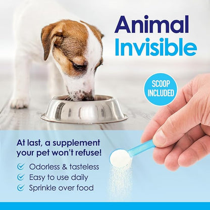 Advanced Glucosamine Powder for Dogs for Arthritis Pain Relief & Hip Dysplasia, Supports Joint Health & Reduces Inflammation with Glucosamine, Chondroitin, MSM & Coral Calcium, 6oz Powder