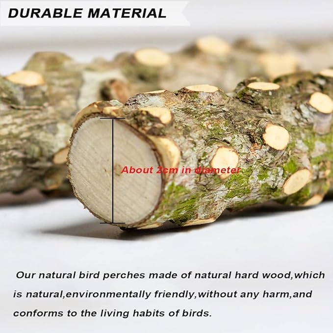 6 PCS Natural Wood Bird Perch Parrot Stand Fork Toys, Hanging Multi-Branch Perch Bird Cage Accessories for Small Parakeets, Conures, Cockatiels, Budgies, Finches, 3 Types